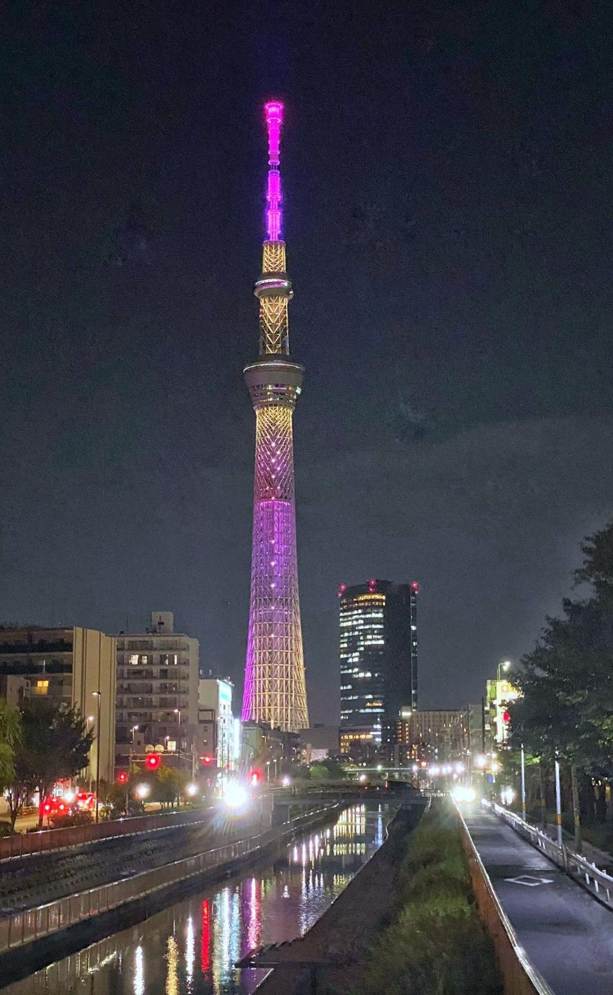 Tokyo Sakura Hotel Exterior foto